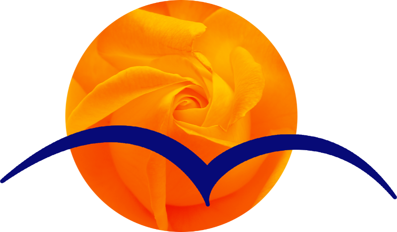 cropped-Logo-WB-orange-png-Homepage-Kopie-1.png